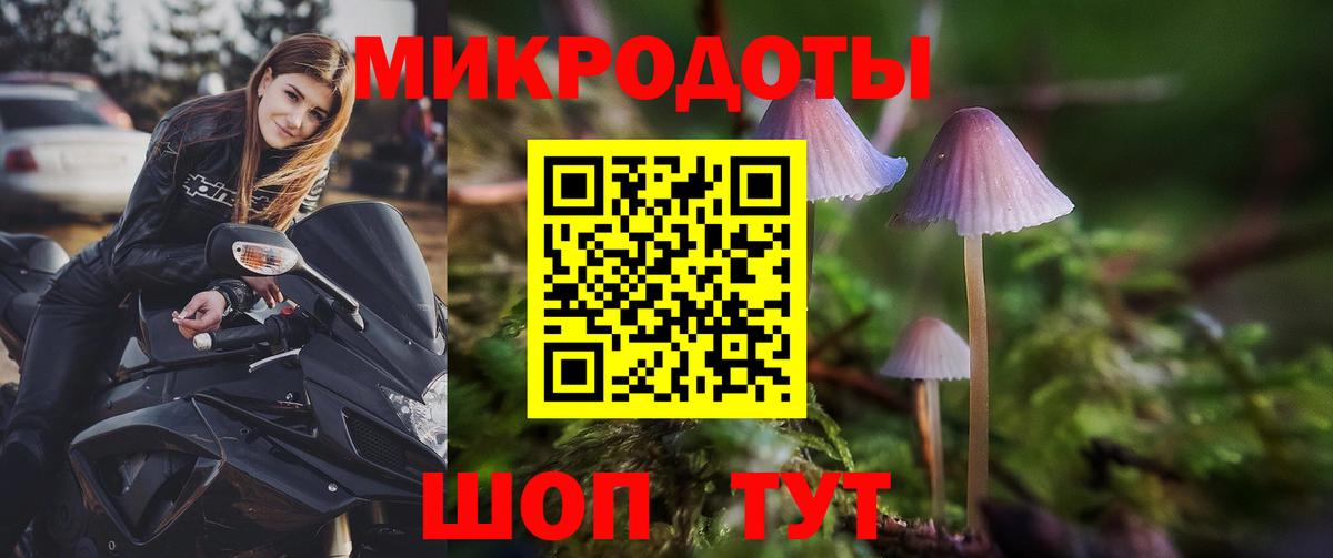 Псилоцибиновые грибы Psilocybine cubensis Усть-Кут